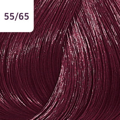 Color Touch – 60ml - Allure Hair Supplies
