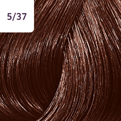 Color Touch – 60ml - Allure Hair Supplies