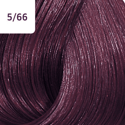 Color Touch – 60ml - Allure Hair Supplies