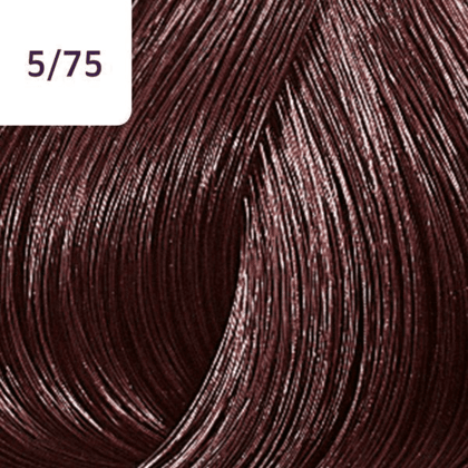 Color Touch – 60ml - Allure Hair Supplies