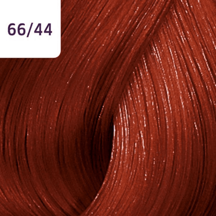 Color Touch – 60ml - Allure Hair Supplies