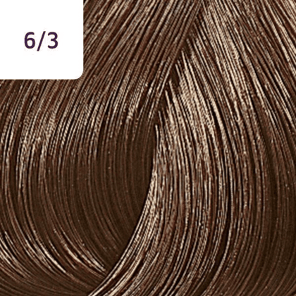 Color Touch – 60ml - Allure Hair Supplies