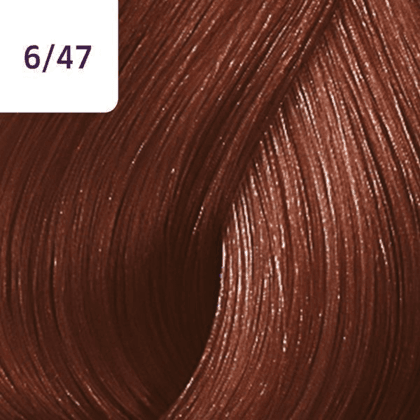 Color Touch – 60ml - Allure Hair Supplies