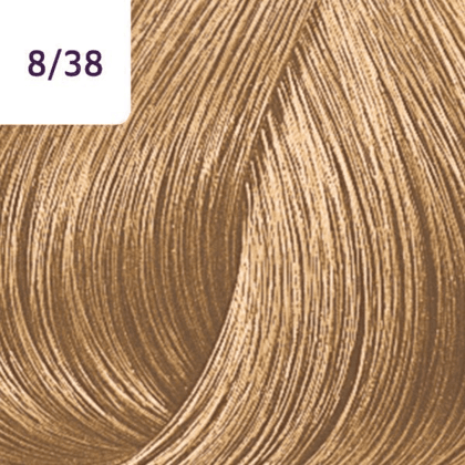 Color Touch – 60ml - Allure Hair Supplies