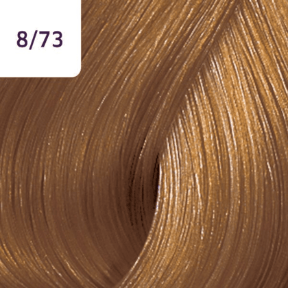 Color Touch – 60ml - Allure Hair Supplies