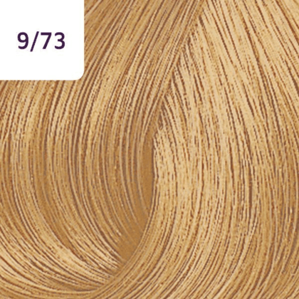 Color Touch – 60ml - Allure Hair Supplies