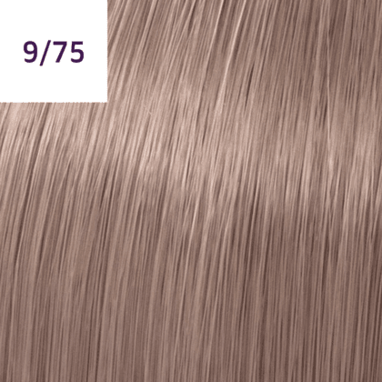 Color Touch – 60ml - Allure Hair Supplies